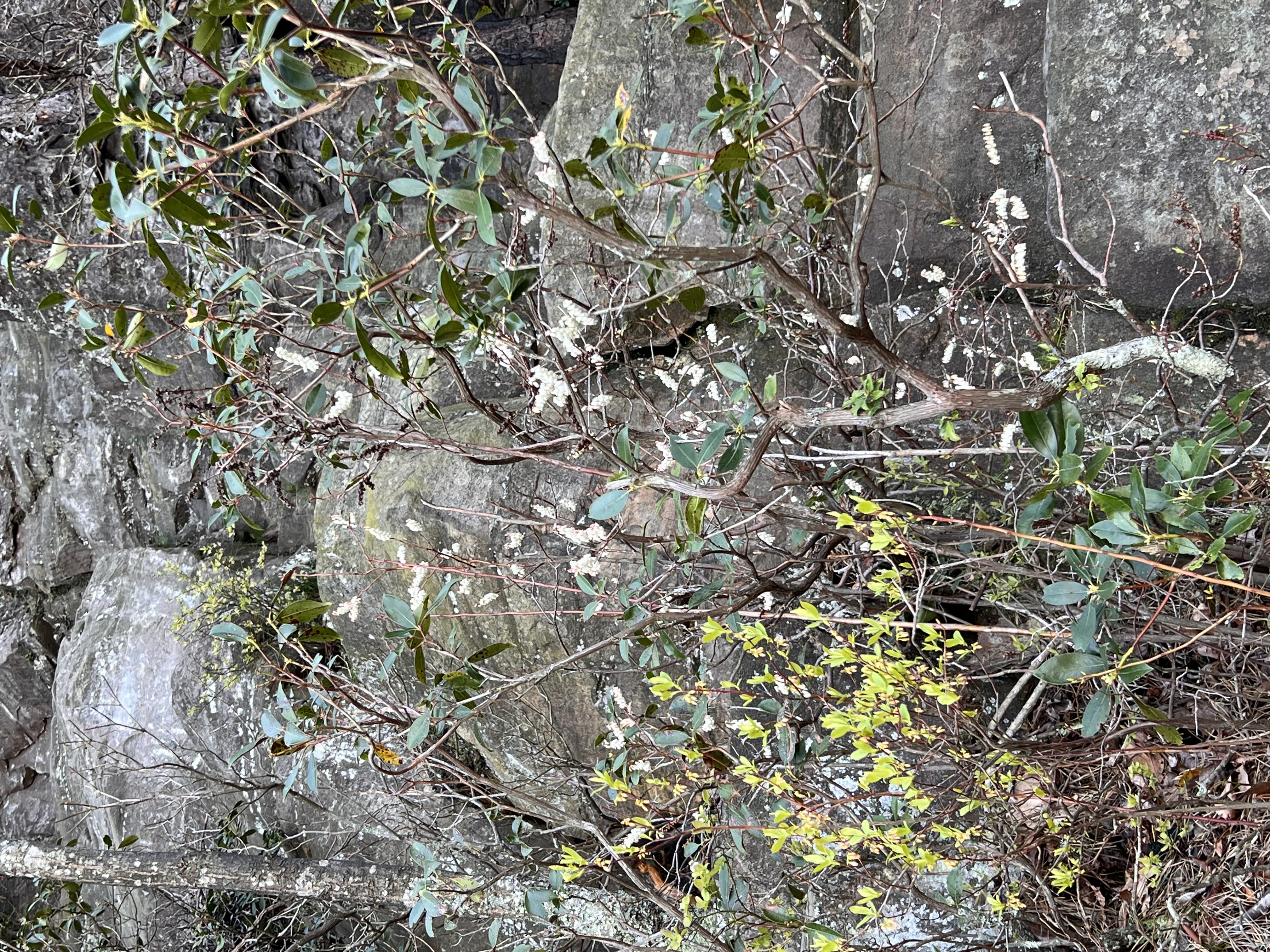 ./2023/05 - Toni Adventures/IMG_2982.JPG